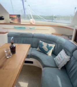 salon, Voyage 430 Norseman, catamaran for sale