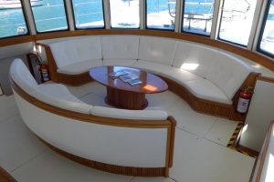 salon, Custom, power catamaran for sale