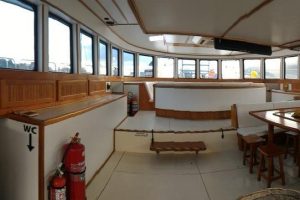 salon, Custom, power catamaran for sale