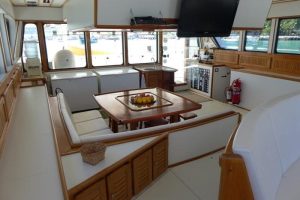 salon, Custom, power catamaran for sale