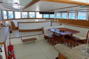 salon, Custom, power catamaran for sale