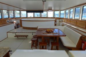 salon, Custom, power catamaran for sale