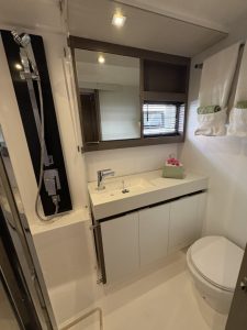 bath, Leopard 53 PowerCat, power catamaran for sale