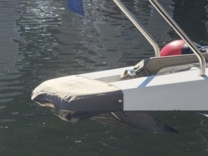 deck, Silverton 34C, trawler for sale