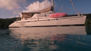 exterior, Leopard 47, catamaran for sale