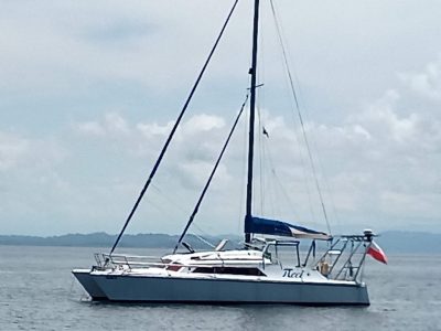 Prout Snowgoose 37 Classic, Prout 37 Snowgoose, catamaran for sale